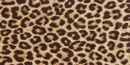 KayleeKastning's profile banner image