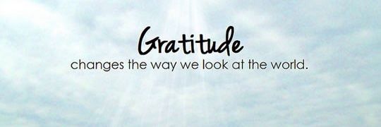 Michele Giroux banner