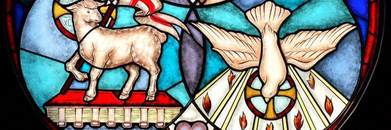 Antonio Rodriguez D. banner