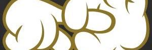 sinneyyen's profile banner image
