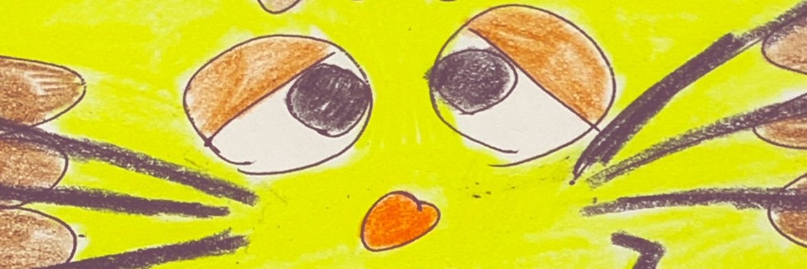 eijifox's profile banner image