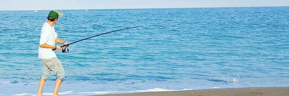 ficklemike's profile banner image