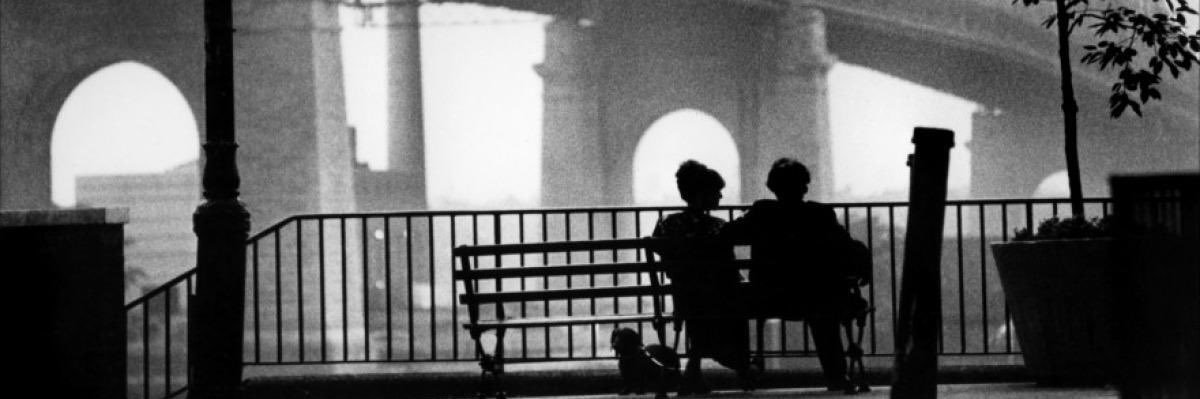 Xavier Cartes banner