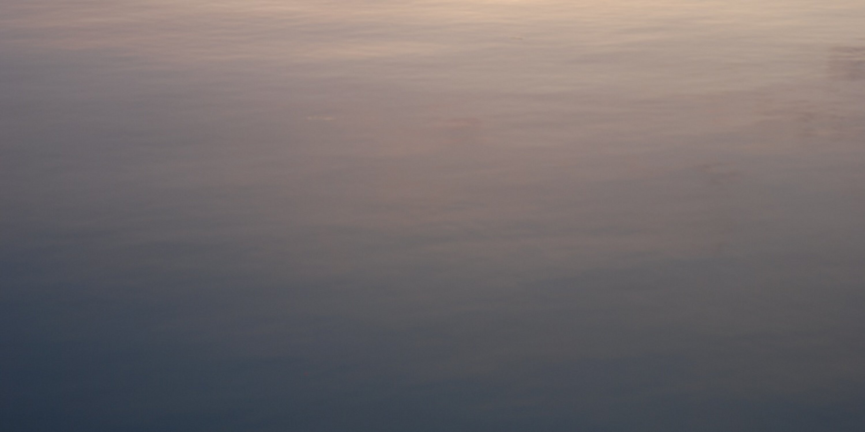 davidtruog's profile banner image