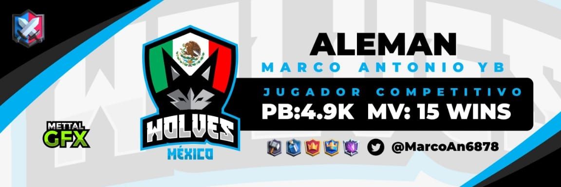 Aleman banner