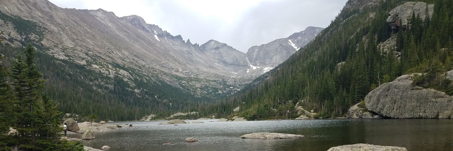 Stephen Whitley banner