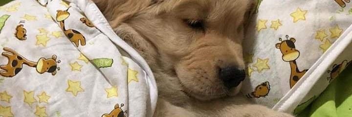 MonseRocha99's profile banner image