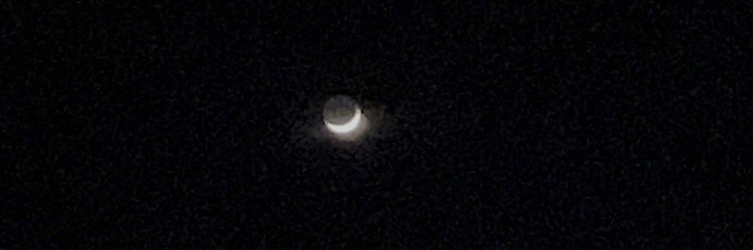 briela banner
