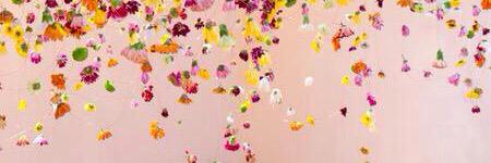 heartpops's profile banner image