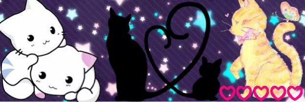 ms26617's profile banner image
