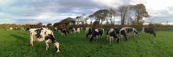 davmorvan Profile Banner