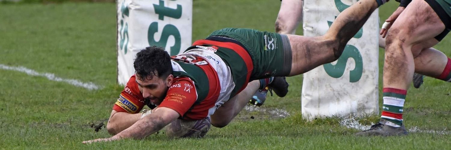 Nothing to see here. banner