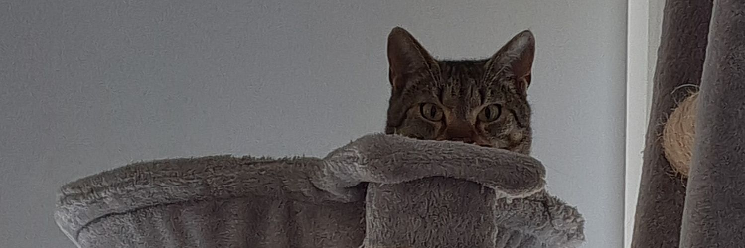 Mowle7's profile banner image
