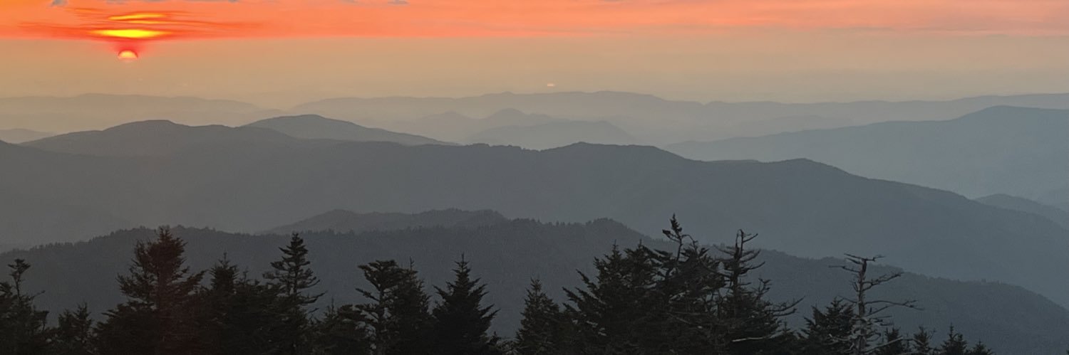 tbernard19's profile banner image