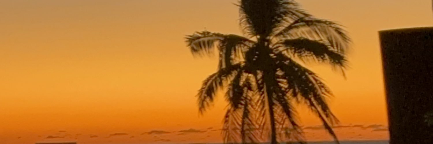FridaCastLo's profile banner image
