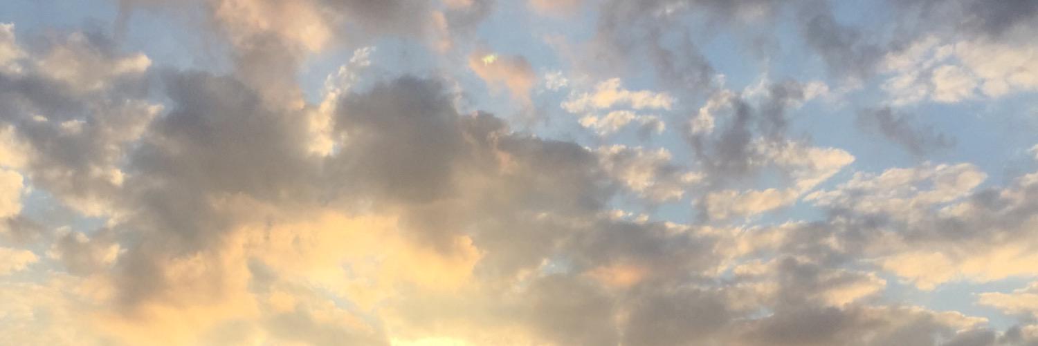 PippaHeys's profile banner image