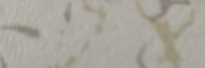 Zubeyr21's profile banner image