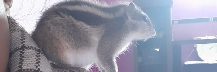 1creative4's profile banner image