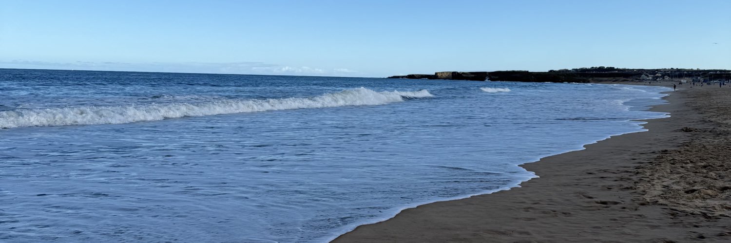 Mr E Stenhouse banner