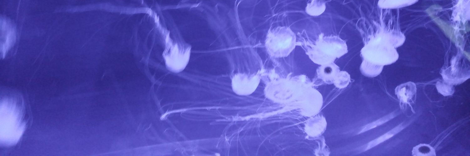 marca 0 para Ę̸͒̌l̴̘̹͆ ̵̧̰́V̶̒͒͜ͅa̵̩͑͗c̴͚͂í̶̹̑̀ͅo banner
