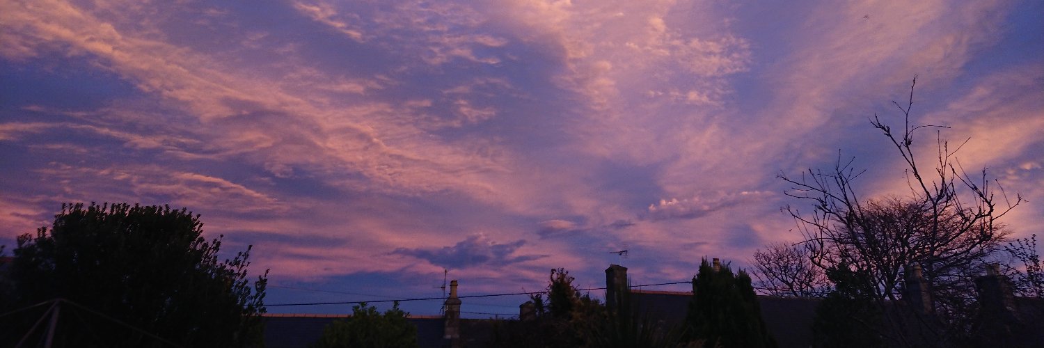 Daisy Bailey banner