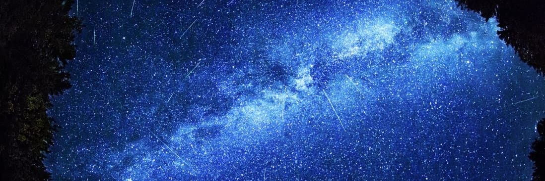 MABayless's profile banner image