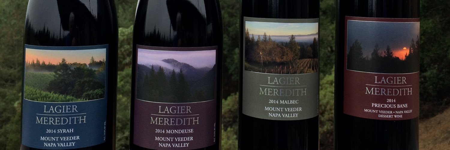 LagierMeredith's profile banner image