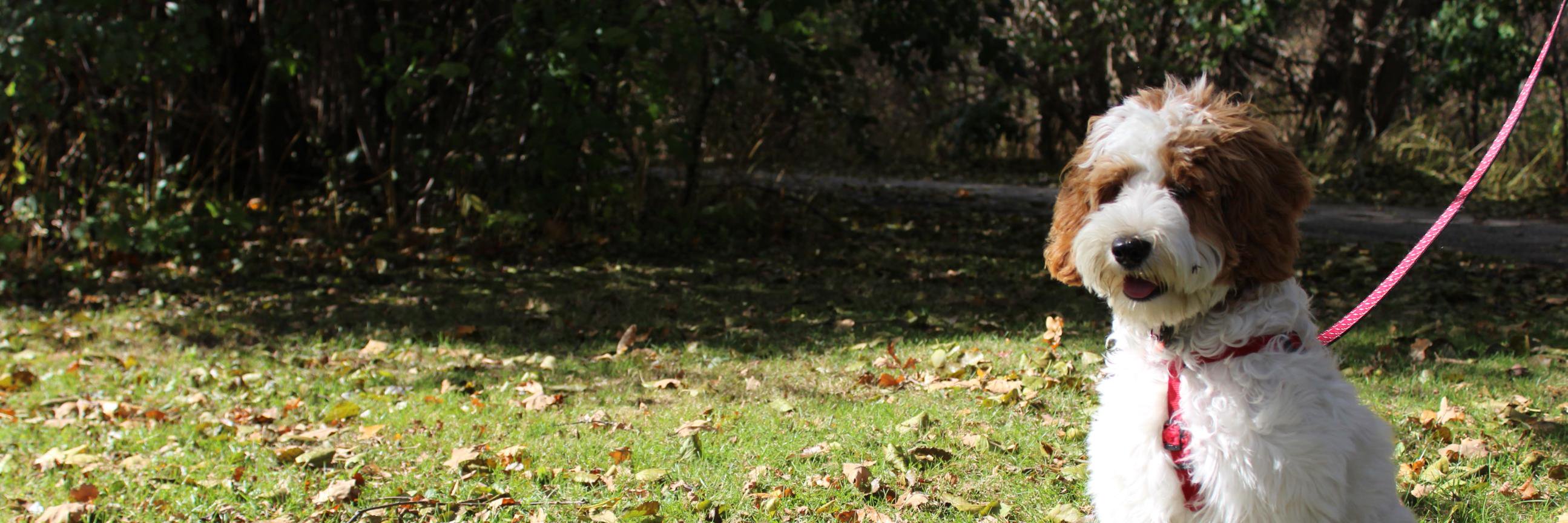 MelissaOcc's profile banner image