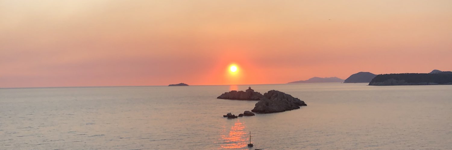 Vinciane Saint-Criq banner