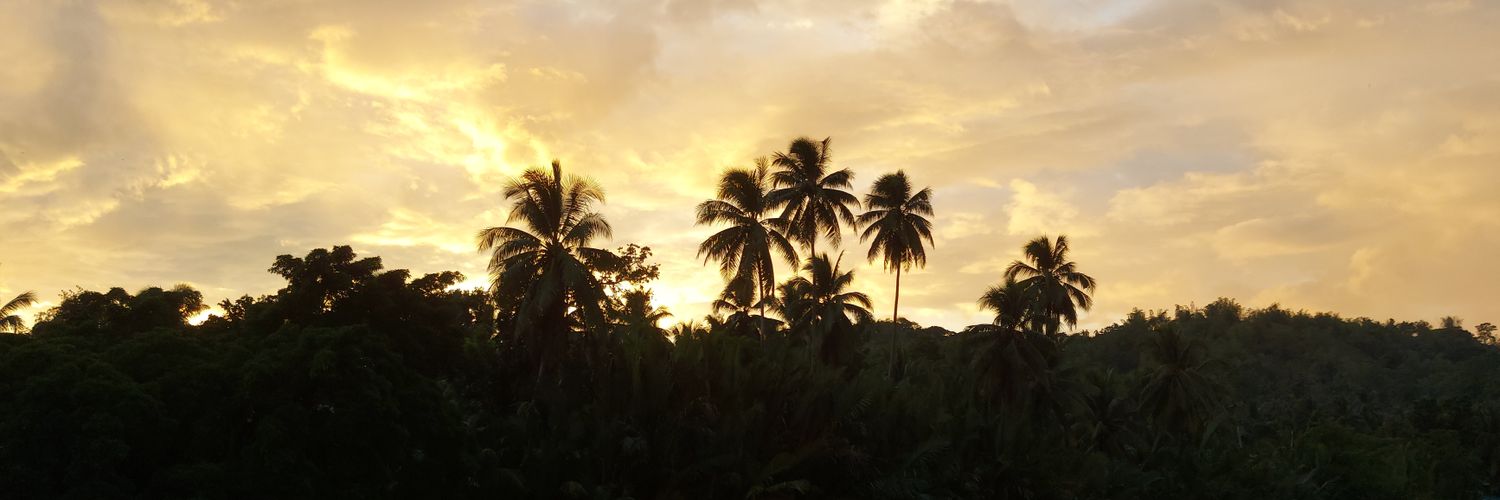cr3ng's profile banner image
