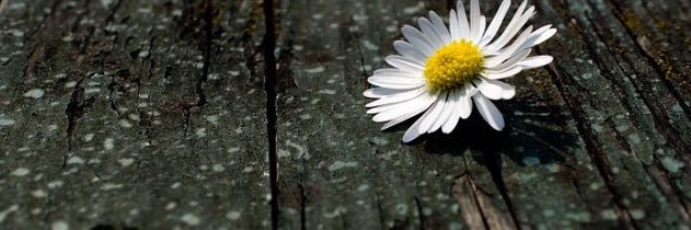 KimWhitehead82's profile banner image
