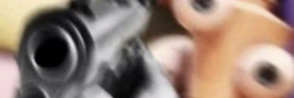FluffyWolf122 Profile Banner