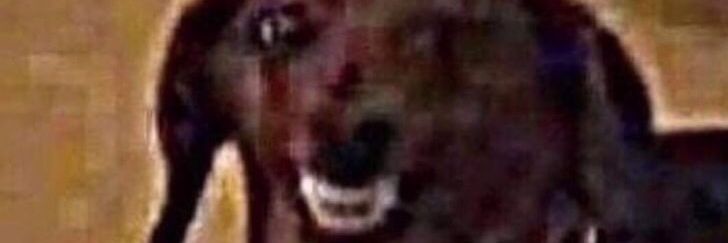 MeowcowIsPretty's profile banner image