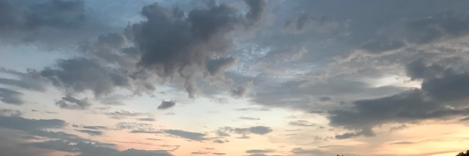 criticize___'s profile banner image
