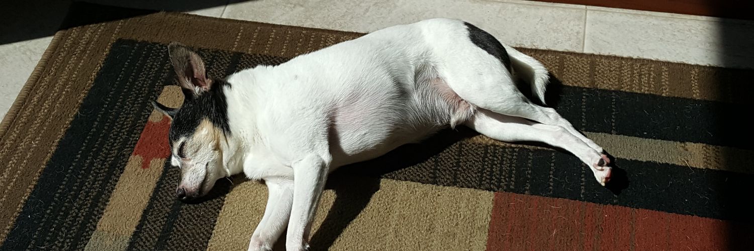 TheMinkysMom's profile banner image