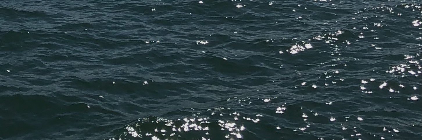 — jublek ✨ banner