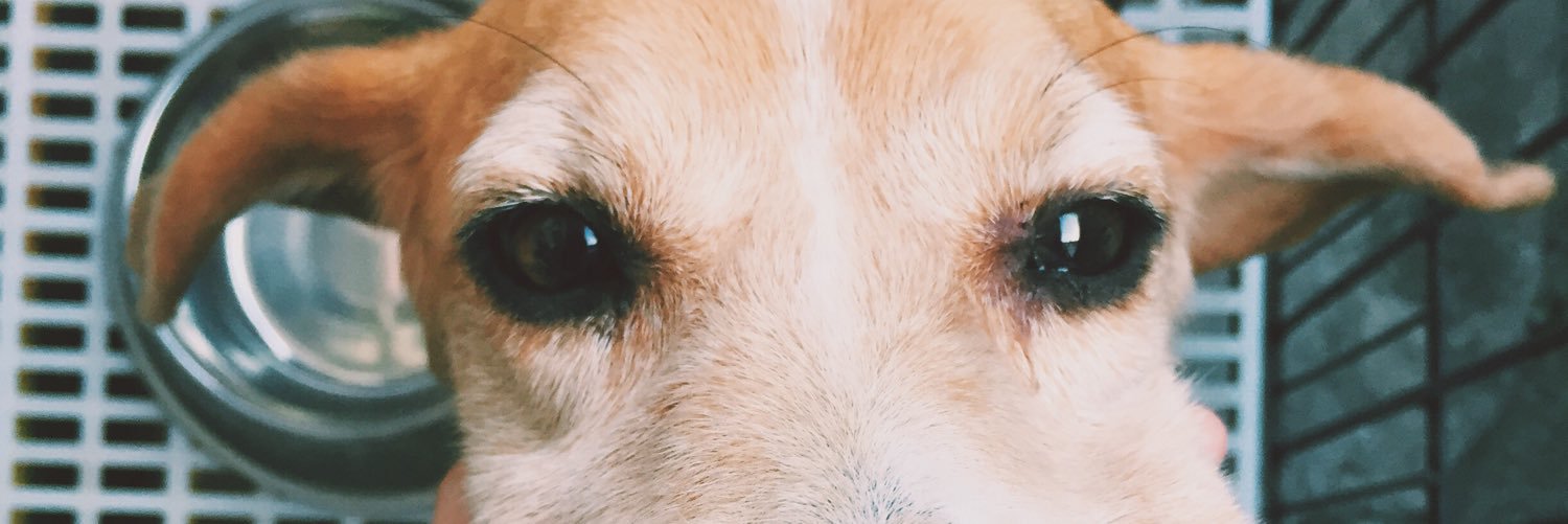 SamLabs_'s profile banner image