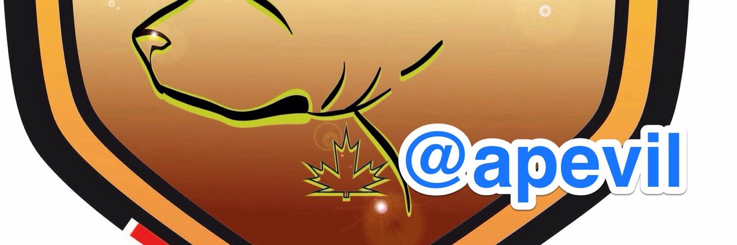 Apevil's profile banner image