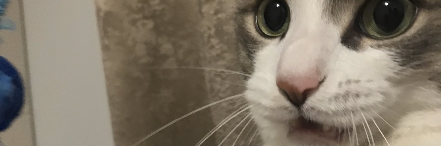 adrianoxs's profile banner image