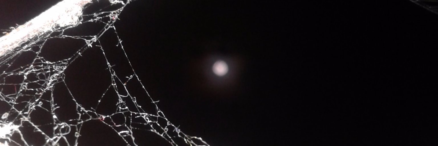 nisasaaf's profile banner image