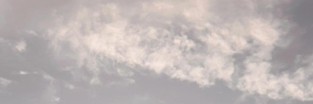 97rosacr's profile banner image