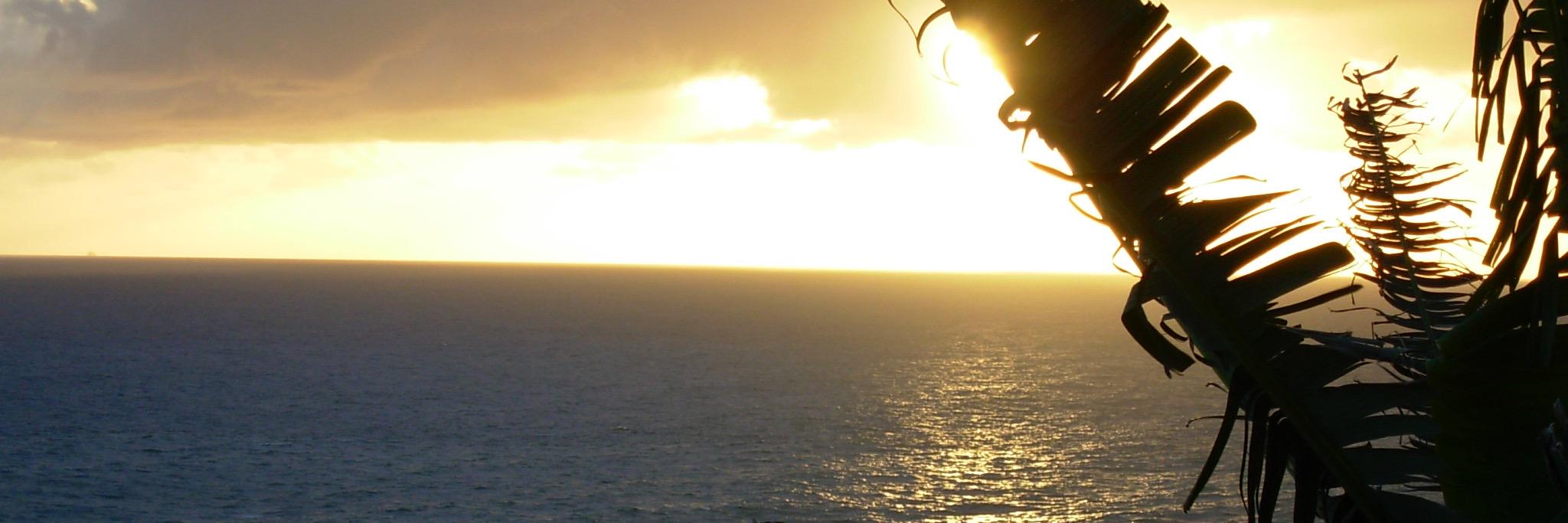 RyanWonderly's profile banner image