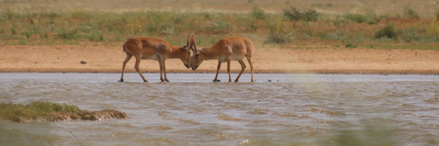 Andrew Gordon banner