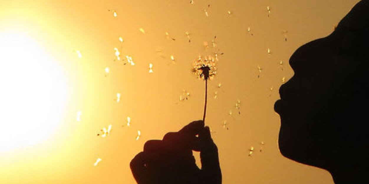 WishesOften's profile banner image