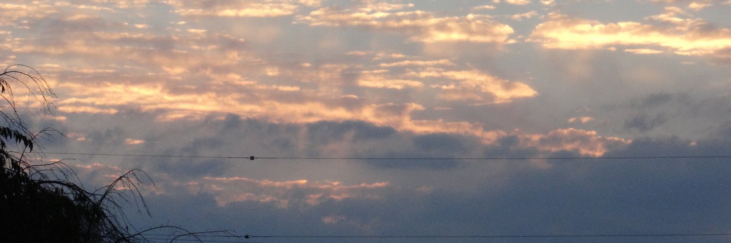 raki443's profile banner image