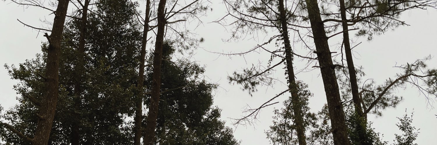 Citssss banner