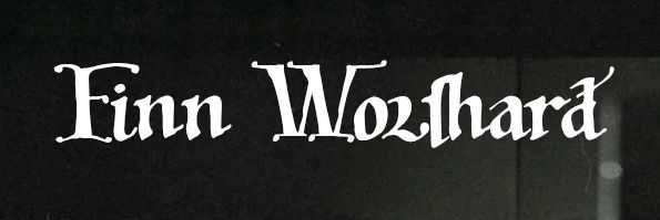 Finn Wolfhard Updates banner