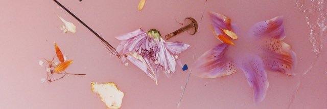 holyzqueen's profile banner image