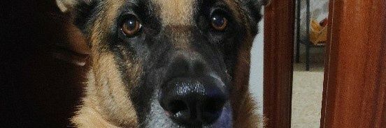 Alaslor's profile banner image
