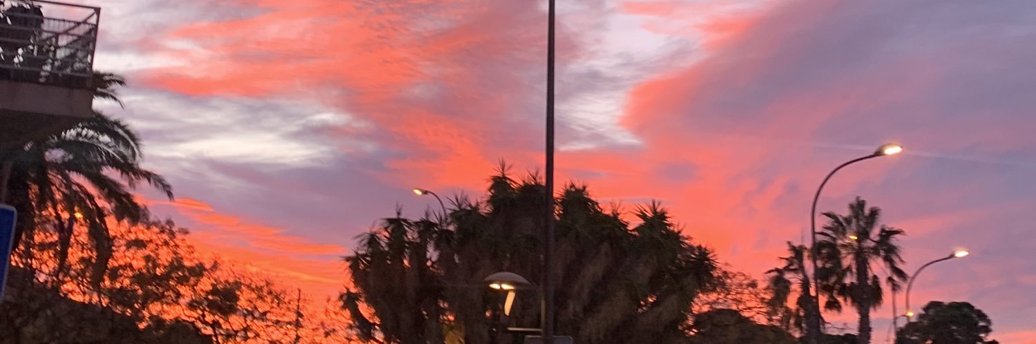 Araceli banner